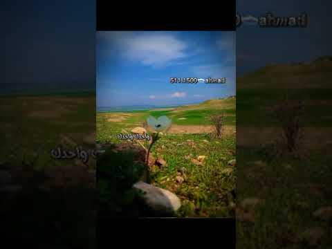 محمود العامري وحدك وحدك حبيبي