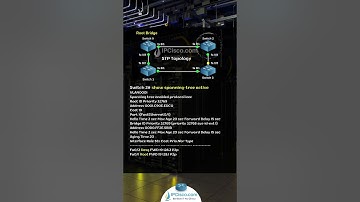 Cisco STP Configuration | CCNA 200-301 | IPCisco.com