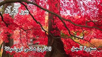 صوت من القلب ❤️ القارئ هانى ابو شيتة سورةالجن
