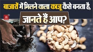 बाजारों में मिलने वाला Cashew Nut कैसे बनता है? जानें क्या हैं फायदे