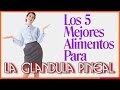 Los 5 Mejores Alimentos Para La Glandula Pineal