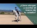 🐴Vamos a trabajar el galope. Alargar y acortar el tranco de nuestro caballo🐴