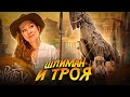 ТРОЯ И МИКЕНЫ I Шлиман I Открыл или уничтожил? [История с Artifex]