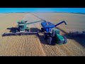 A Saskatchewan Wheat Harvest