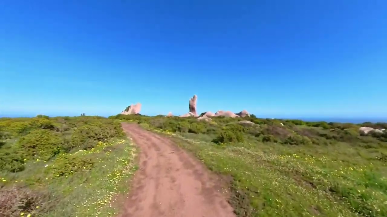 Wild Flower Season West Coast National Park Aug 2023