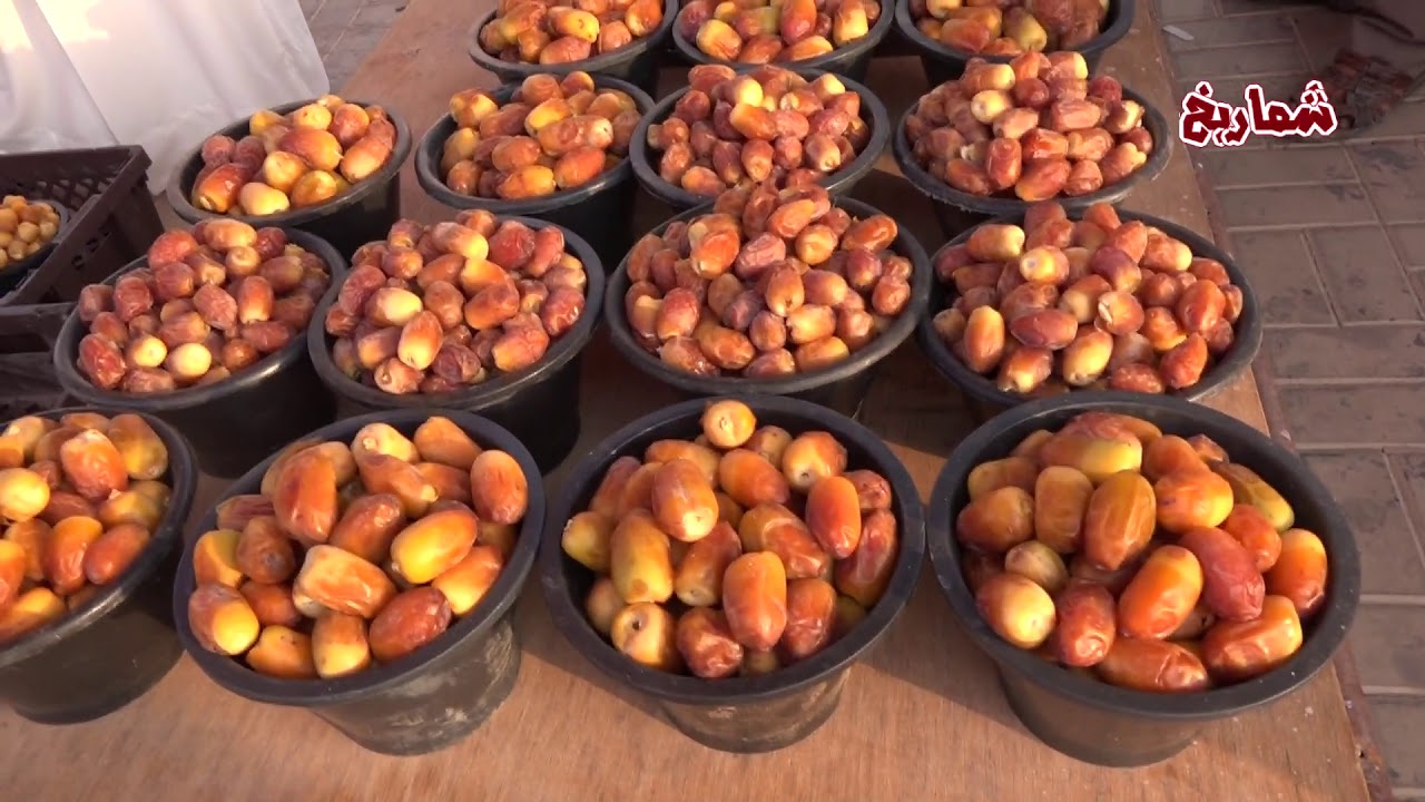 مهرجان التمور  في محافظة الدلم  (  الجزء الثالث )