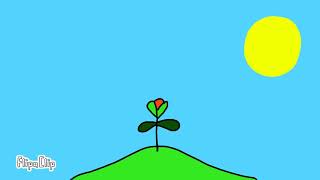 Flower Animation Test