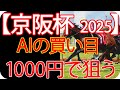【京阪杯2025】1000円で何を買う？AI×過去10年が出した結論