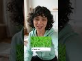 Park Vocabulary in French! #french #parkvocab #newlearning #airlearn #language