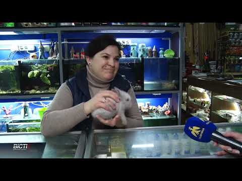 Який подарунок обрати на Новий рік?