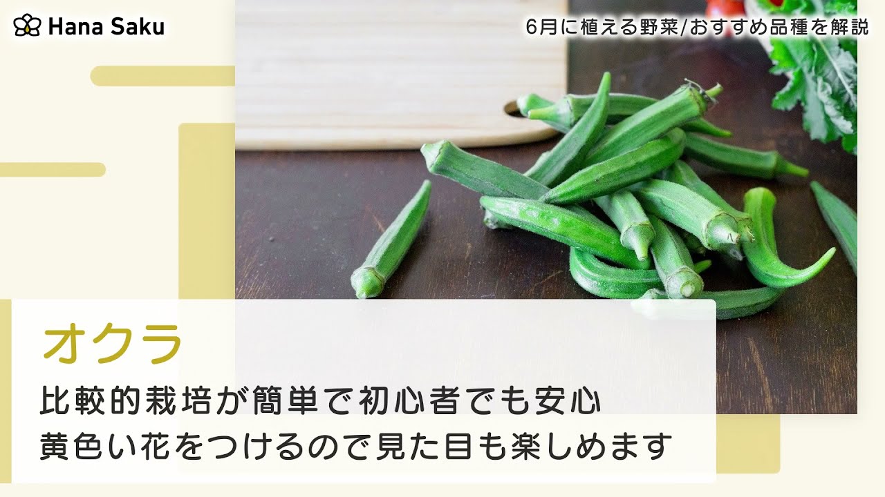 6月に植える野菜一覧 おすすめ品種3選の種まき時期や収穫時期を解説 Hanasaku