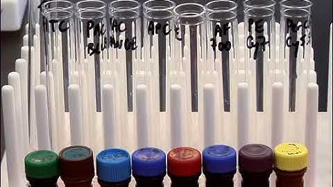 Peptide MHC Tetramer based Enrichment of Epitope specific T cells