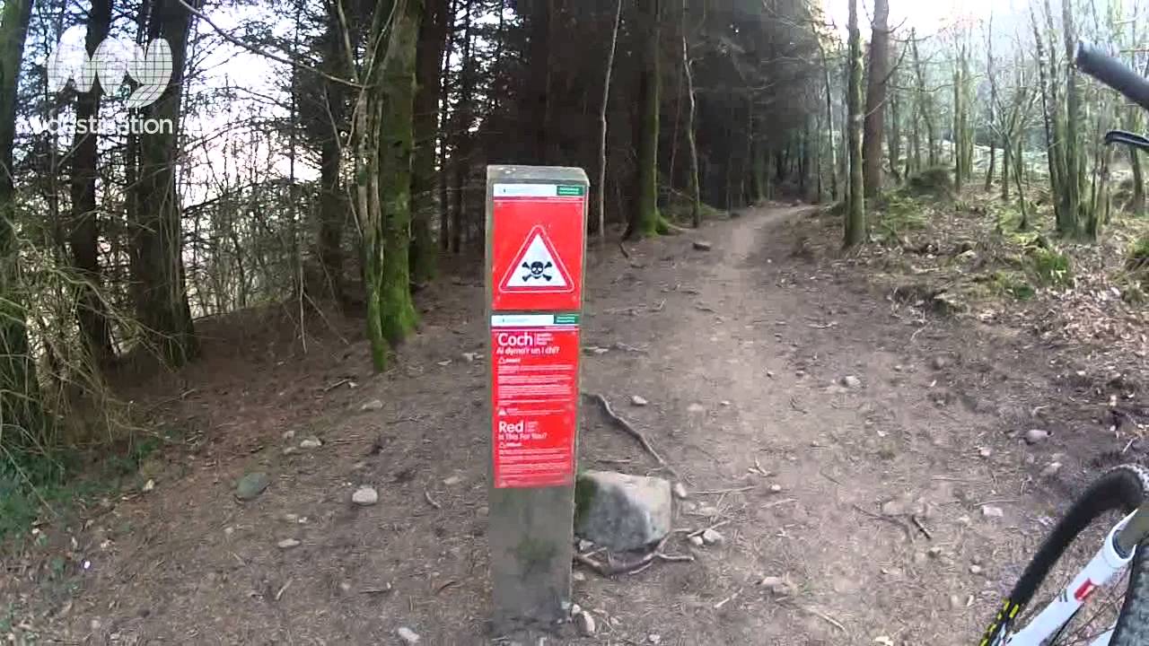Mountain Biking in Afan Valley, Wales - YouTube