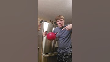 z in the fridge #youtube #funny #TRENDING #MEMES #VIDEO #SHORTS #SHORTVIDEO #FYP #fridge #yeet