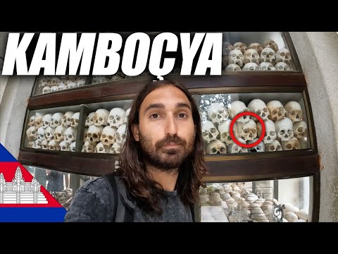 Video: Kambocada sınanacaq yeməklər