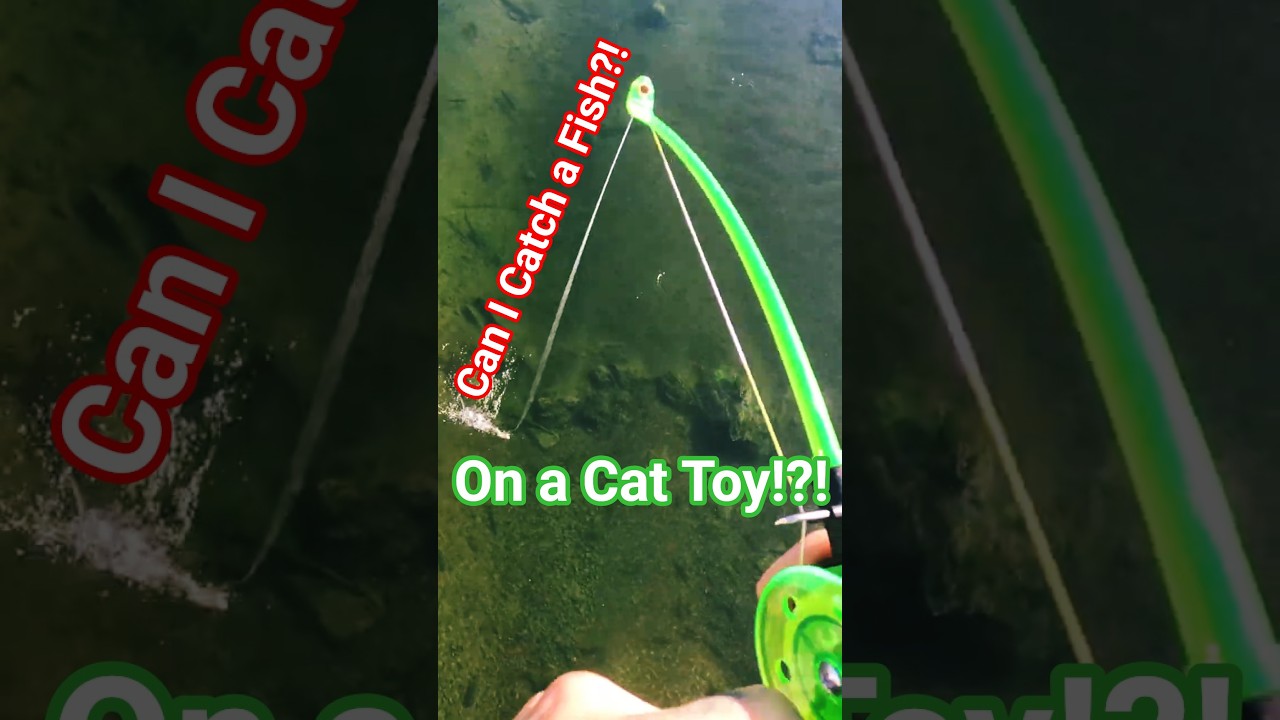 Fishing Challenge: Tiny Rod + Cops?!?