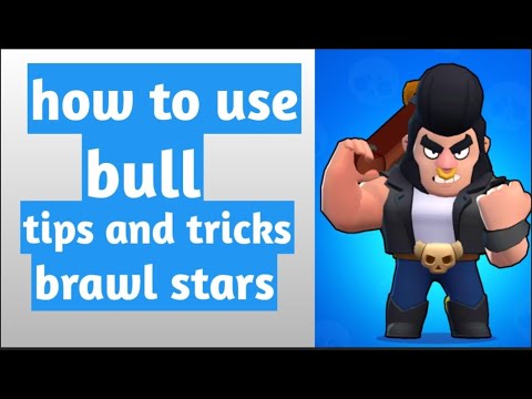 bull tips and