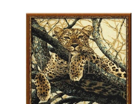 Обзор набора Риолис Леопард