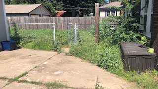 The neighbors were very happy to see me mow this tall lawn