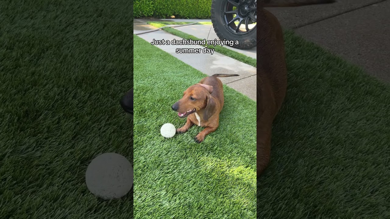 Gary is having fun this summer! 