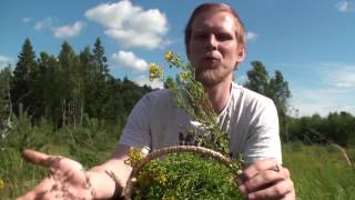 Фильм Владимира Чайкина Зверобой / Tutsan Фильм Владимира Чайкина Зверобой / Tutsan