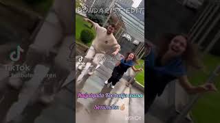 Hayatynda Koç Silam Warsa Ündar