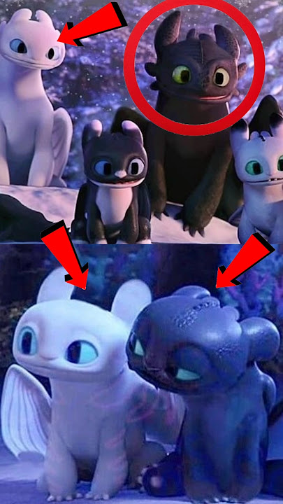 “He Didn’t Kill the Dragon… He Befriended It 🐉❤️” #usashorts #toothless #httyd #drz