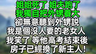 姐姐死了 姐夫跑了 我独自把外甥养大，却无意听见他说 我是个没人要的老女人 我笑了 等他高考结束后 房子已经换了新主人！#幸福人生  #夜讀人生 #大橘講故事 #人生感悟  #情感故事#故事分享