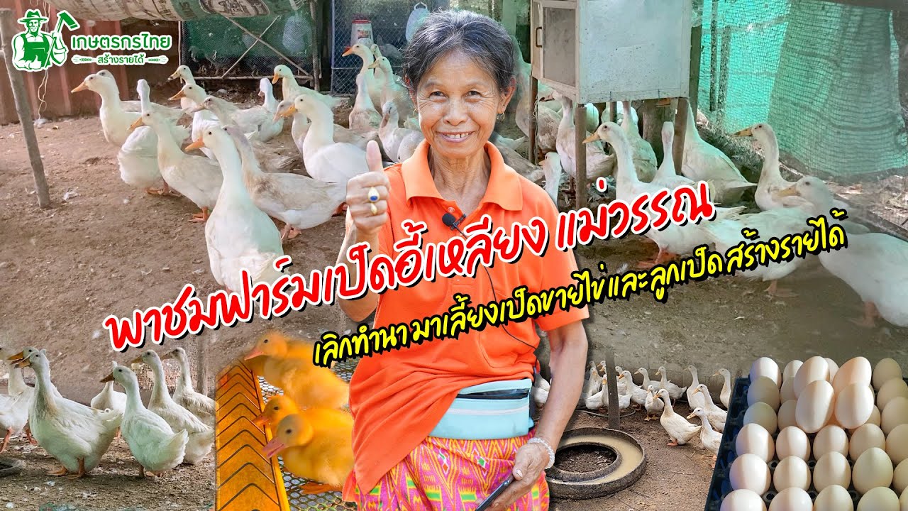 พาชมฟาร์มเป็ดอี้เหลียงแม่วรรณ เลี้ยงเป็ดไก่ สร้างรายได้ l  ชมสวนเกษตรกรไทย Ep182