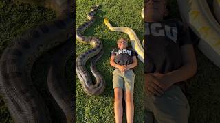 Who wants a snake massage!!!