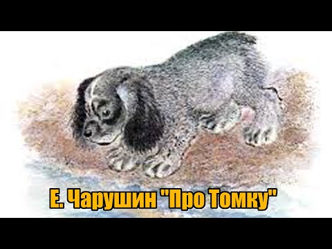 Е. Чарушин "Про Томку"