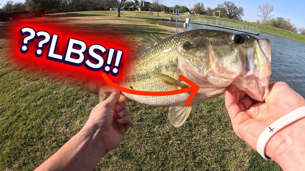 Bass fishing compilation (GoPro)