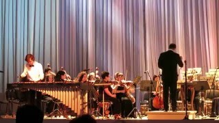 Н.Розауро.Концерт для маримбы с оркестром № 1. Сухарев Лукас. Театр Оперы.