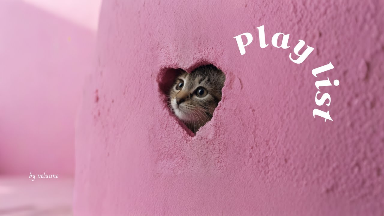 𝐏𝐥𝐚𝐲𝐥𝐢𝐬𝐭 [Cafe] Осеннее утро повышает настроение⬆️ Так кайфово🎵 Осенний плейлист | Фоновая музыка