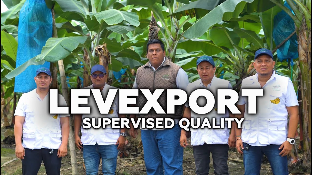 Levexport. Quality Under Control