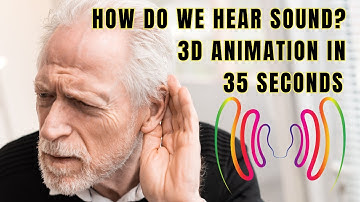 How Do We Hear? | How the Ear Works?| 3D Animation in 35 Seconds @biologyexams4u