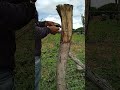 Veja como fonciona o esticador de arame