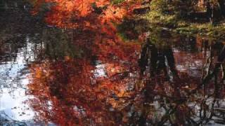 Stephane Grappelli & Yehudi Menuhin - Autumn Leaves chords