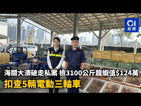 涉前年走私珊瑚案 35歲疑犯另涉洗黑錢 海關首引瀕危附例再拘捕｜01新聞｜走私｜珊瑚｜洗黑錢｜瀕危條例｜海關