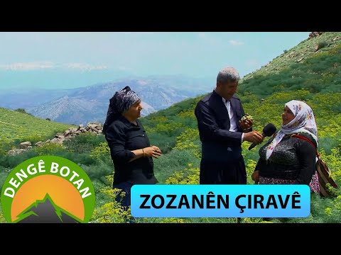 DENGÊ BOTAN - ZOZANÊN ÇIRAVÊ (2024)