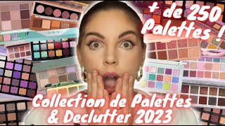 Collection de Palettes & Declutter 2023 : + De 250 Palettes ! 😱