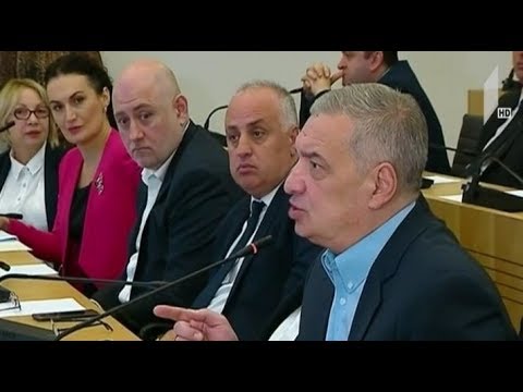 პარლამენტში ქეთევან ციხელაშვილს უსმენენ