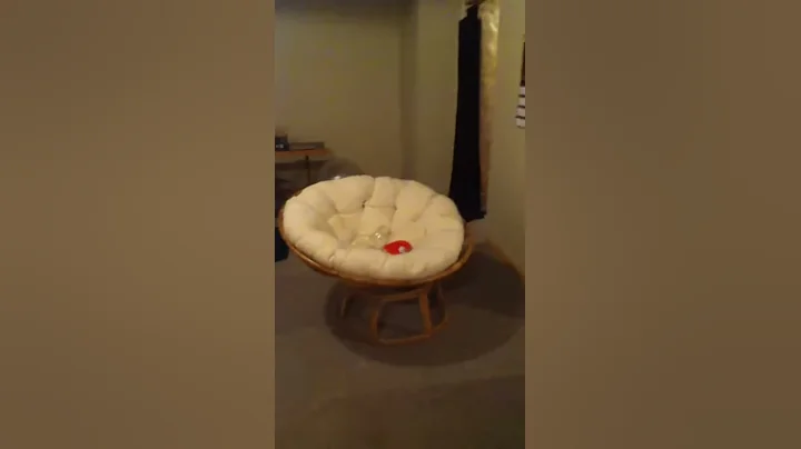 Amazing ping pong shot by Josh workman