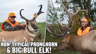 Non-Typical Pronghorn and Big Bull Elk! | Dream Makers S4 EP6