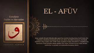 El- Afüv Esmasının Havı Sırları