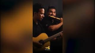 Senehas Aware -සෙනෙහස් අවාරේ - Asitha Senavirathne Ft Asitha Warnakulasooriya - Flute & Guitar Cover