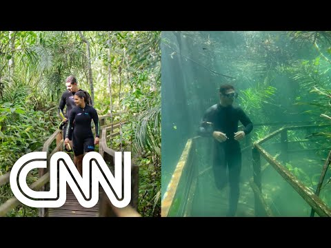 Trilha fica submersa por rio de águas cristalinas em MS; veja antes e depois | LIVE CNN