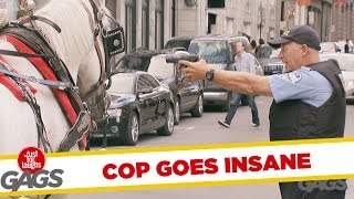 Dumb Cop Fines A Horse!