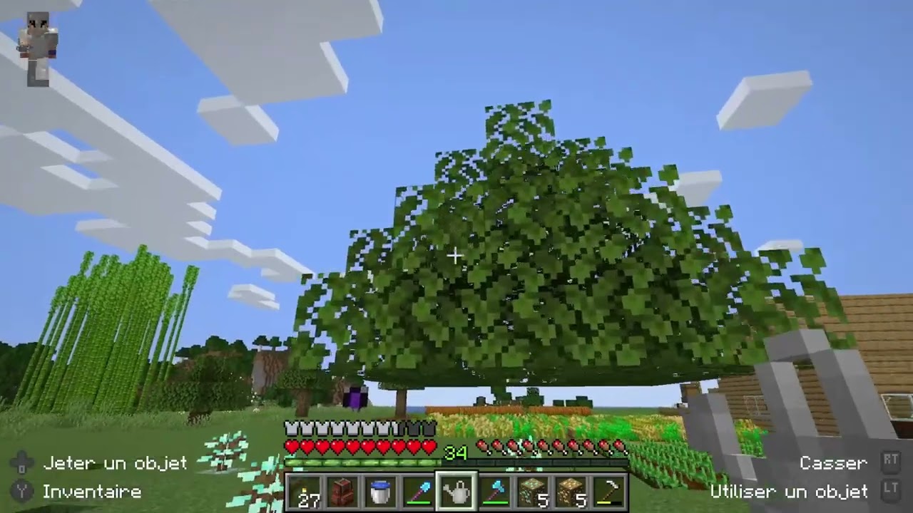 minecraft#10 (joueur muette)