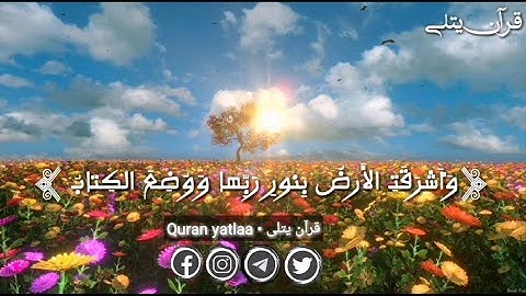 #حالات_واتس واشرقت الارض بنور ربها تلاوة خاشعة للشيخ خالد الجليل من سوره الزمر